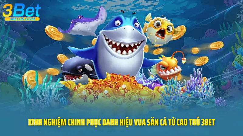 Kinh Nghiệm Chinh Phục Danh Hiệu Vua Săn Cá Từ Cao Thủ 3Bet