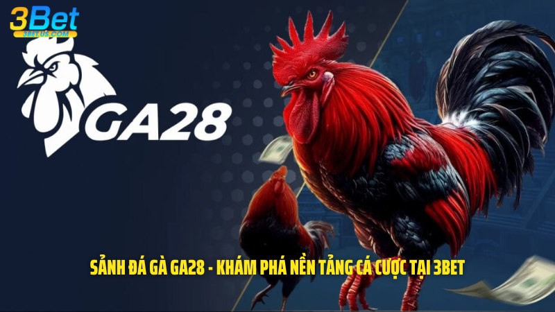 Sảnh Đá Gà Ga28 - Khám Phá Nền Tảng Cá Cược Tại 3Bet