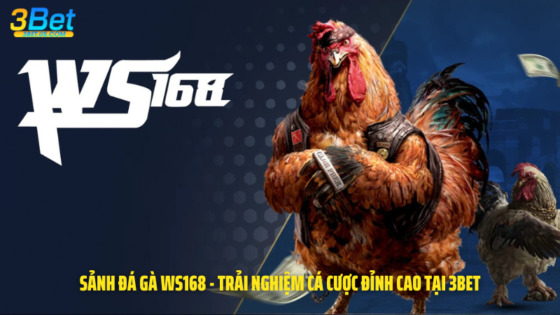Sảnh Đá Gà WS168 - Trải Nghiệm Cá Cược Đỉnh Cao Tại 3Bet