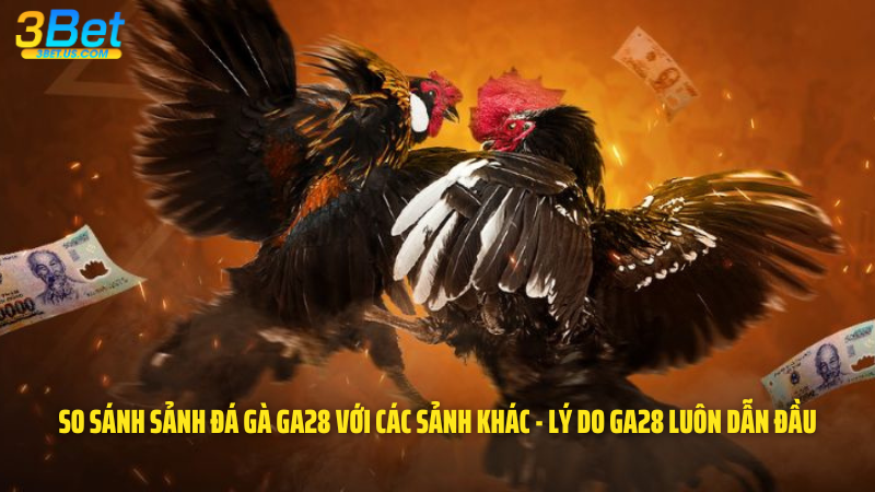 So sánh sảnh đá gà Ga28 với các sảnh khác - Lý do Ga28 luôn dẫn đầu